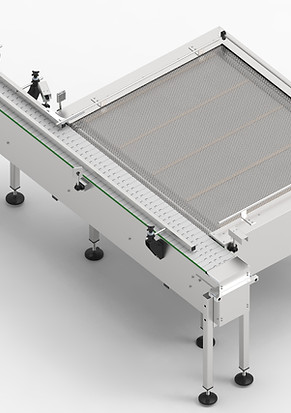 TR-06.00.00 - Przenośnik rewersyjny.7.jpg