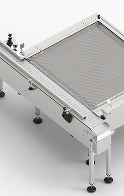 TR-06.00.00 - Przenośnik rewersyjny.7.jpg