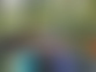 Dans les bois de... Jambville #2 !