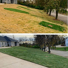 before and after picture of fescue sod installation by stl sod install & hardscapes