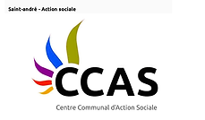 LOGO CCAS ST ANDRE.png
