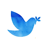 Daily Stillness App Icon.png