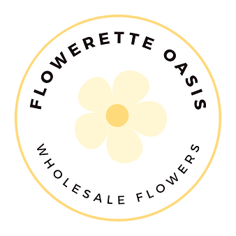 Simple Professional Name Introduction Li