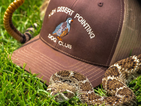 Rattlesnake avoidance training 6.27.20