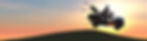 Golfspieler mit Golfcart.jpg