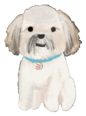 Cane simpatico che tira fuori la lingua