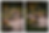 Retaining Walls.png