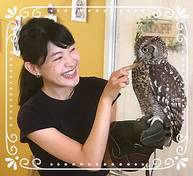 和歌山｜ふくろう＆爬虫類カフェ｜カントリーオウルぷらす