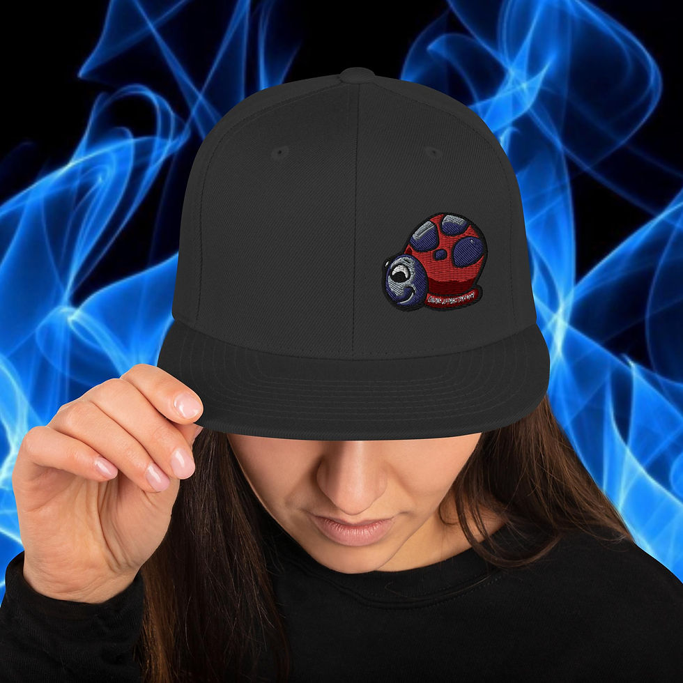 Thumbnail: Embroidered Ladybug Snapback Hat