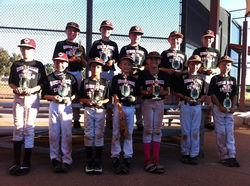 Queen Creek Baseball