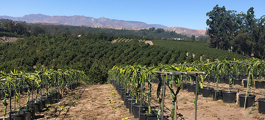 Moorpark Farm Panorama.jpg