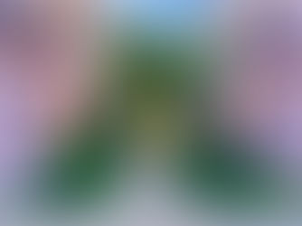 Open House Life Selections March 8-9