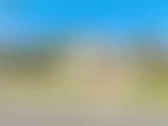 Open House Life Selections March 1-2, 2025