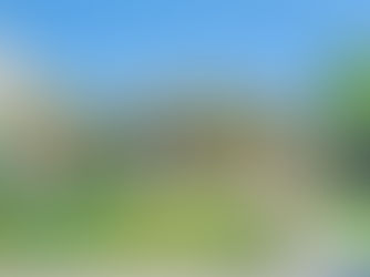 Open House Life Selections March 29-30, 2025