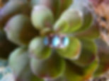Dot Stripe Turquoise Ring