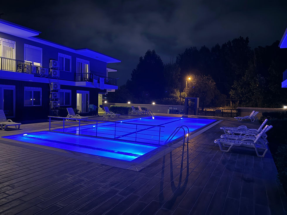 Night Garden Pool