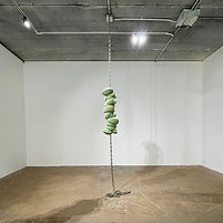 harp-181129-002.JPG