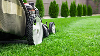 LawnMower_Landscaping_AdobeStock_8392730