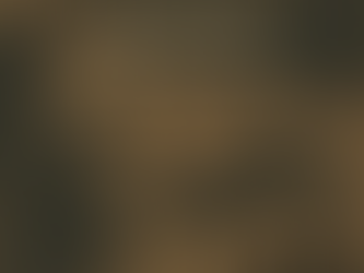 The Dyatlov Pass Incident: A Mystery Frozen in Time