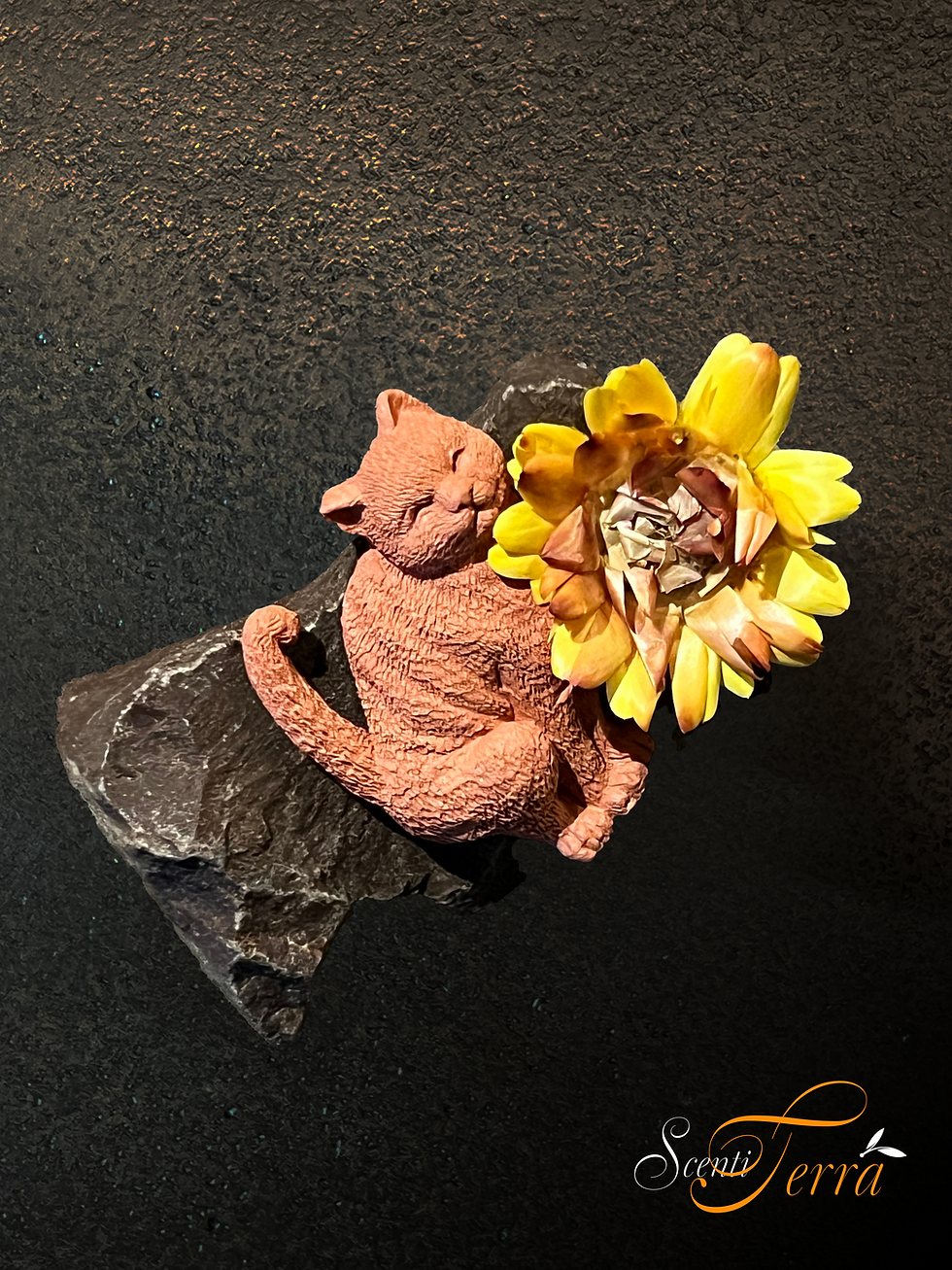Cat, Dry Flower on Natural Rock