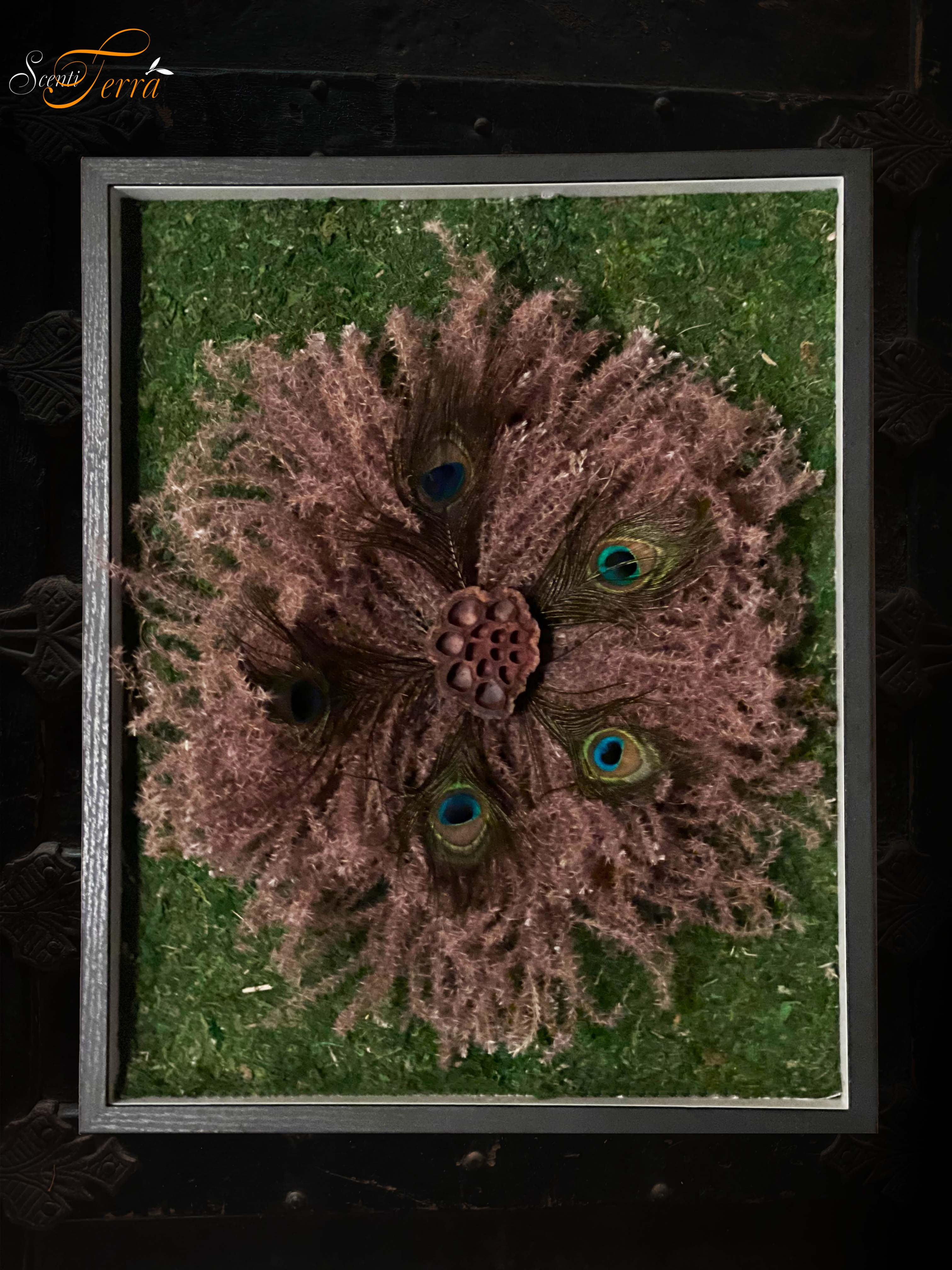 Peacock Radiance Wall Art