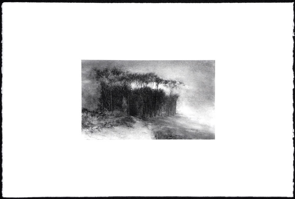 Bosquecillo (Copse)