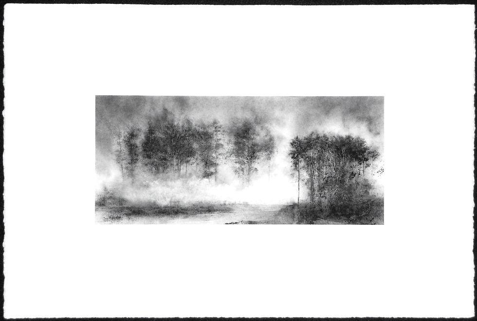 Neblina (Mist)