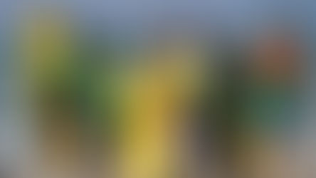 גלישת הצלה לילדים בסיכון בשיתוף עם זיו נעורים