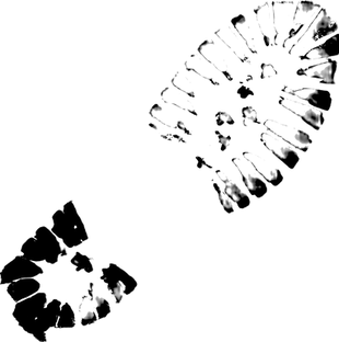 proxy-image_edited.png