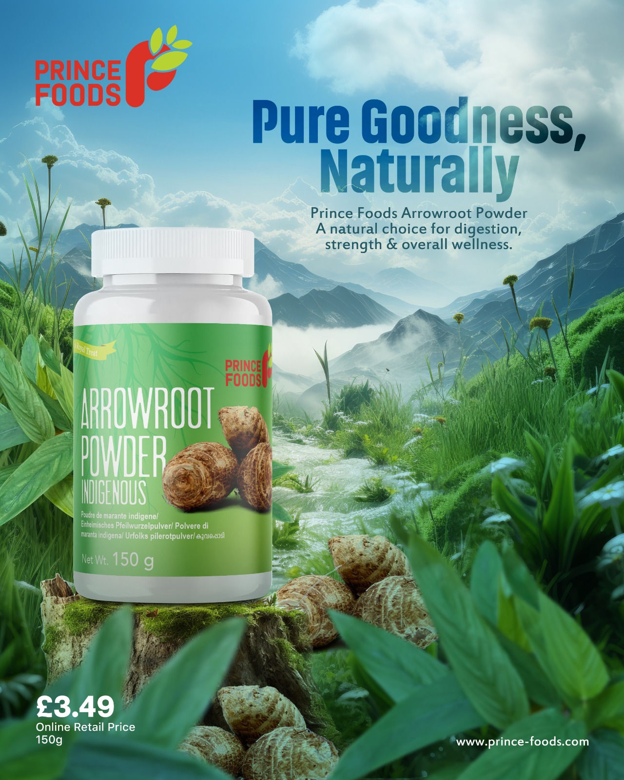 Prince Foods Arrowroot Powder (Medicinal) 150g