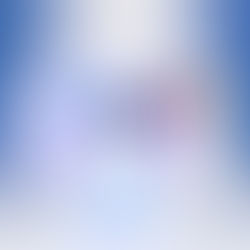 The Galactic High Council