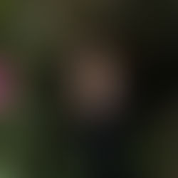 A Personal Journey To Discovering My Divine Feminine