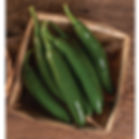 Hot Pepper- Serrano