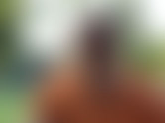 Serija #262 Kaip EFEKTYVIAI sumažinti stresą ir nusivylimus? 🔥