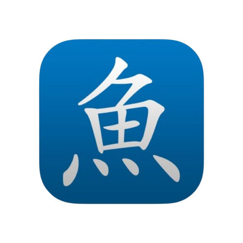 Pleco Chinese dictionary app used in Hong Kong