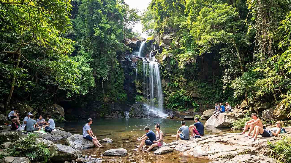 Waterfall hiking spot in Hong Kong with forest and rocks