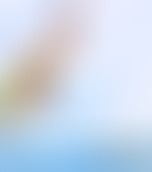 Vibrant Party Atmosphere at our Junk Boat Party - Fun and Excitement All Day