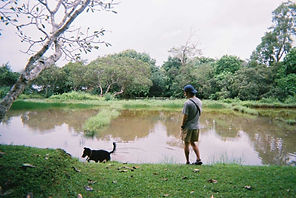 received_899455087099207.jpeg