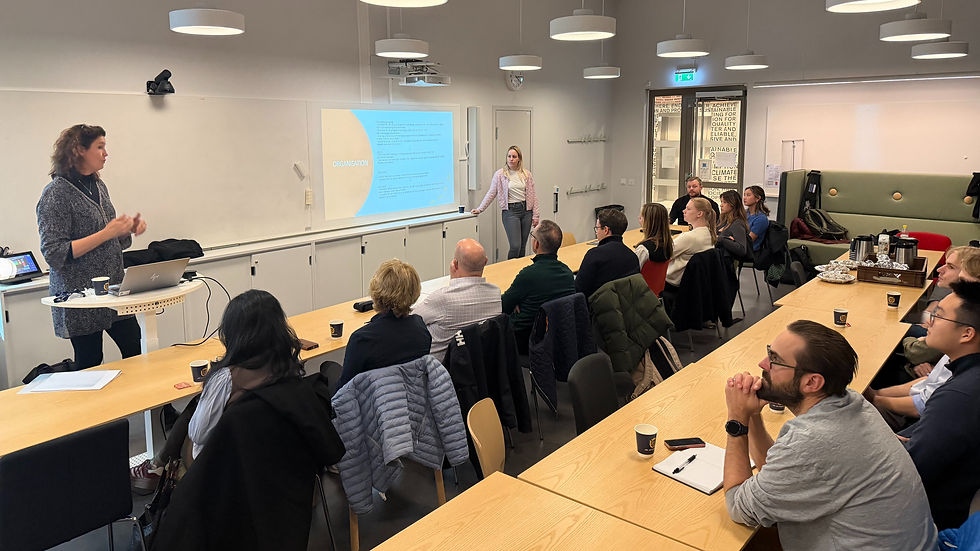 Mentorskapsprogrammets uppstart