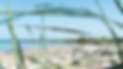 Intresseavvägningar och möjligheter i tätortsnära strandskyddsområden