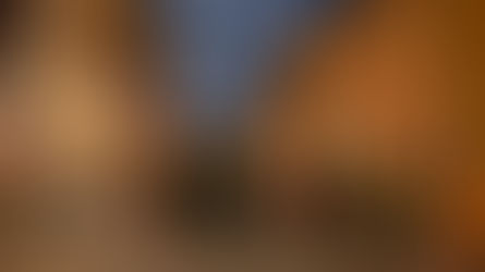 Volontärerna firades med museibesök, stadsvandring och gemenskap