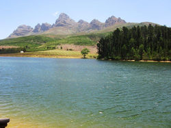 Lourensford 29