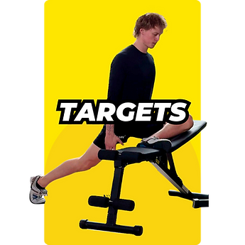 Program TARGETS.png
