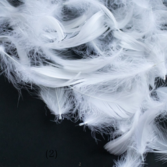 「飛翔は降臨である」　関　寧花