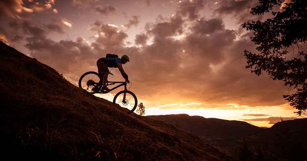 Untitled design (25).png