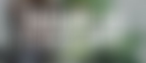 Navigating the Green Wave: Cannabis Use in South Africa