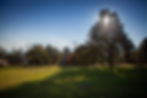 A Serene Haven: Exploring Our Welcoming Environment