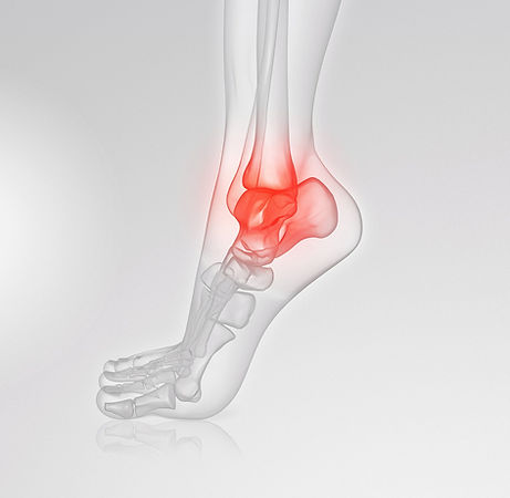 Tm_Tabs_foot.jpeg