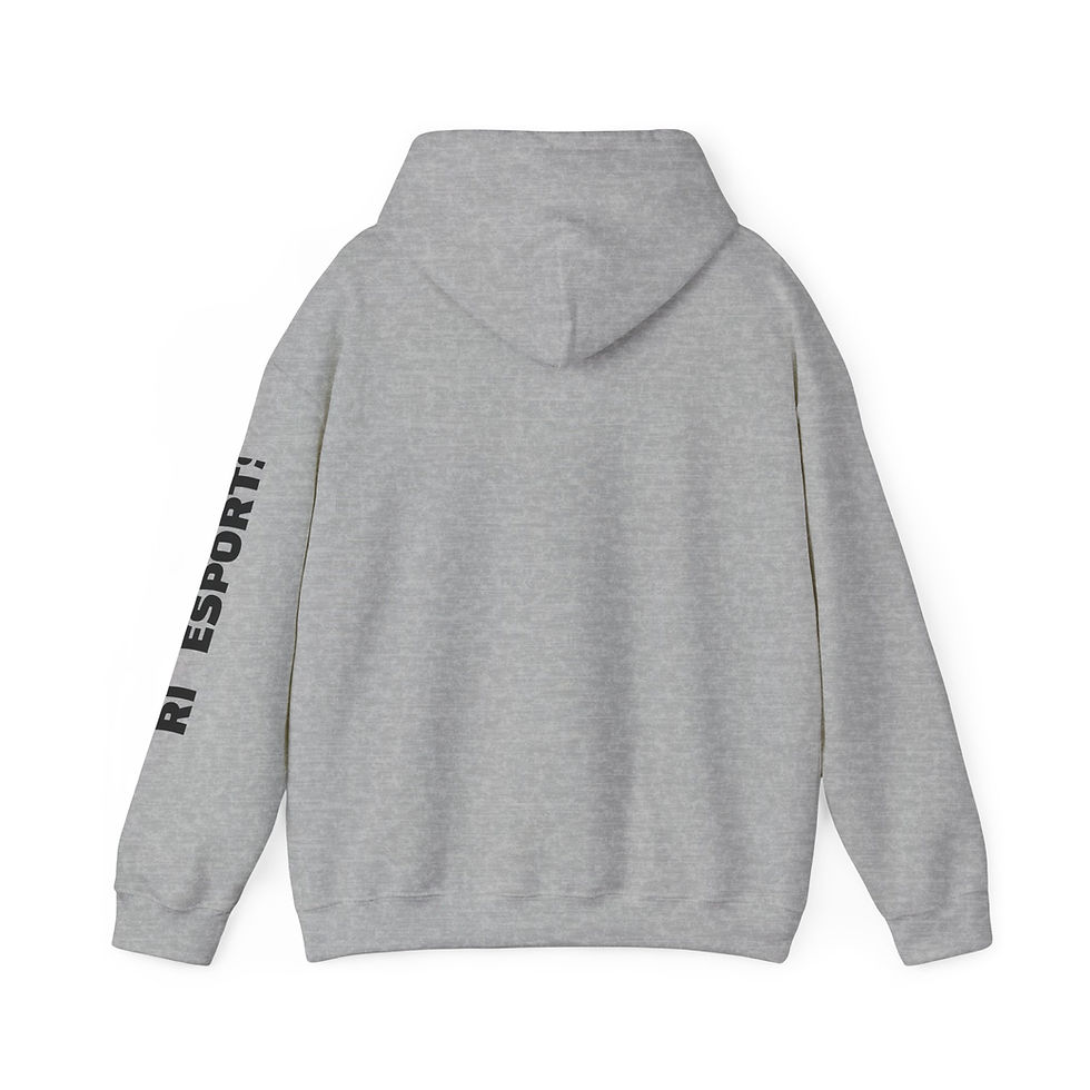 Thumbnail: Level Up Unisex Hoodie (Adult)