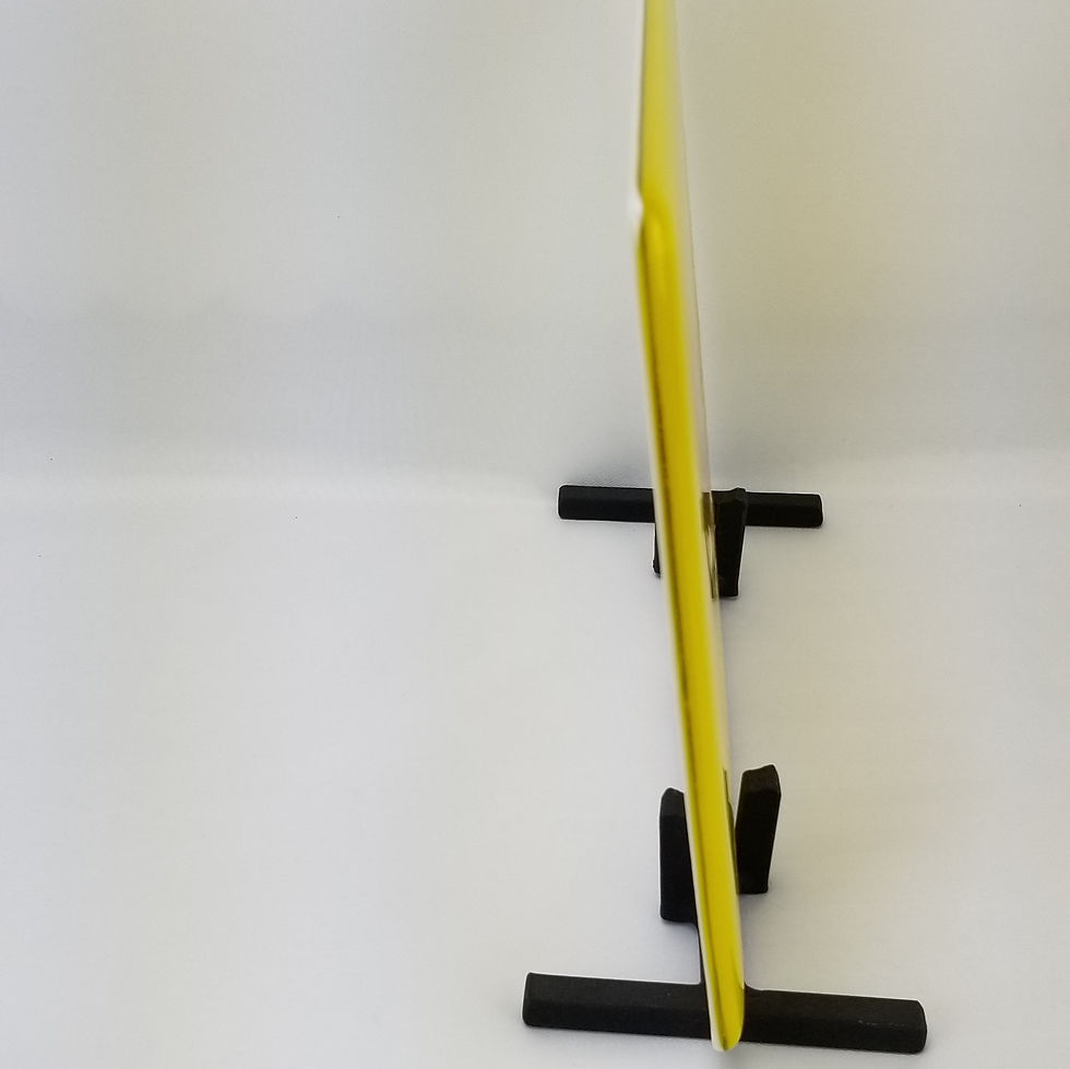 Thumbnail: Fossilized Leaf in Glass